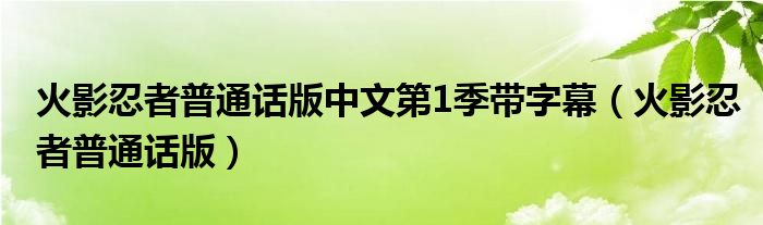 火影忍者普通话版中文第1季带字幕（火影忍者普通话版）