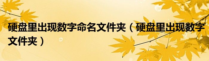 硬盘里出现数字命名文件夹（硬盘里出现数字文件夹）