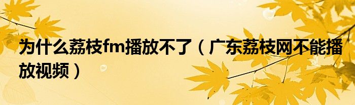 为什么荔枝fm播放不了（广东荔枝网不能播放视频）