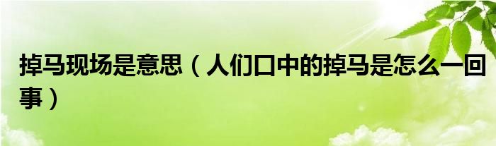 掉马现场是意思（人们口中的掉马是怎么一回事）