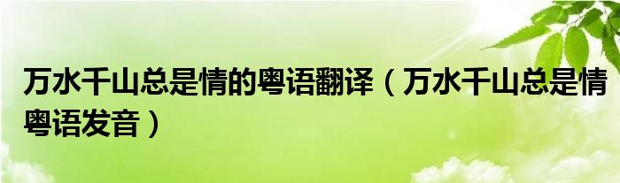 万水千山总是情的粤语翻译（万水千山总是情粤语发音）