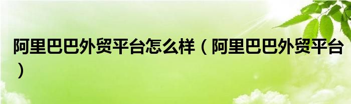 阿里巴巴外贸平台怎么样（阿里巴巴外贸平台）