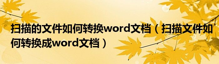 扫描的文件如何转换word文档（扫描文件如何转换成word文档）