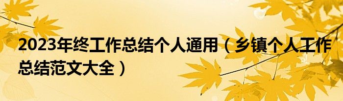 2023年终工作总结个人通用（乡镇个人工作总结范文大全）