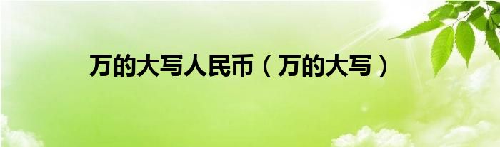 万的大写人民币（万的大写）