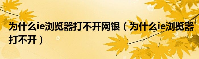 为什么ie浏览器打不开网银（为什么ie浏览器打不开）