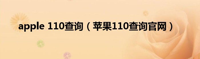 apple 110查询（苹果110查询官网）