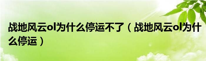 战地风云ol为什么停运不了（战地风云ol为什么停运）