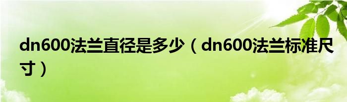 dn600法兰直径是多少（dn600法兰标准尺寸）