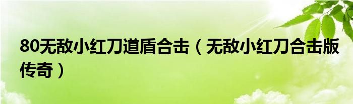 80无敌小红刀道盾合击（无敌小红刀合击版传奇）