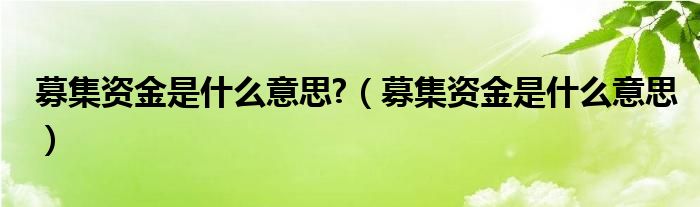 募集资金是什么意思?（募集资金是什么意思）