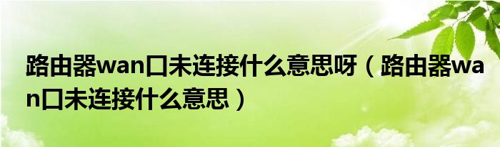 路由器wan口未连接什么意思呀（路由器wan口未连接什么意思）