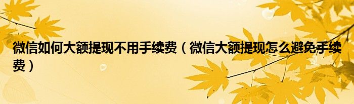 微信如何大额提现不用手续费（微信大额提现怎么避免手续费）