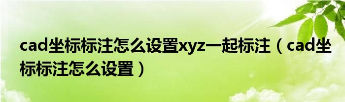 cad坐标标注怎么设置xyz一起标注（cad坐标标注怎么设置）