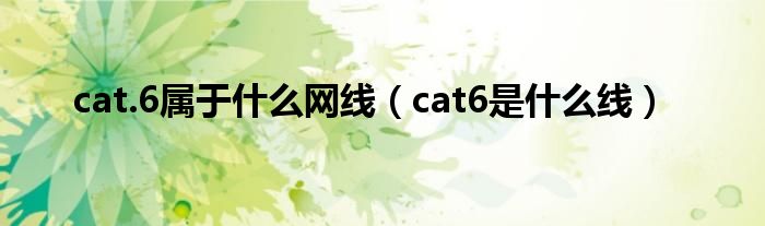 cat.6属于什么网线（cat6是什么线）