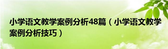 小学语文教学案例分析48篇（小学语文教学案例分析技巧）