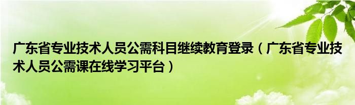 广东省专业技术人员公需科目继续教育登录（广东省专业技术人员公需课在线学习平台）