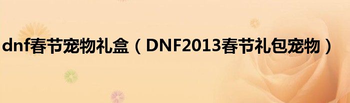 dnf春节宠物礼盒（DNF2013春节礼包宠物）