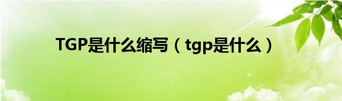 TGP是什么缩写（tgp是什么）