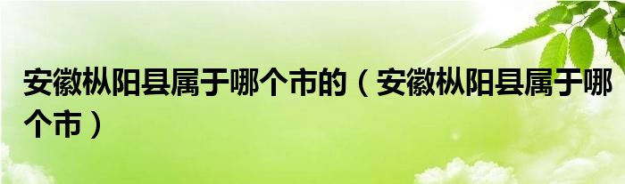 安徽枞阳县属于哪个市的（安徽枞阳县属于哪个市）