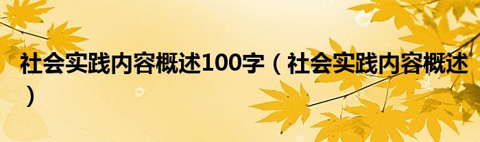 社会实践内容概述100字（社会实践内容概述）