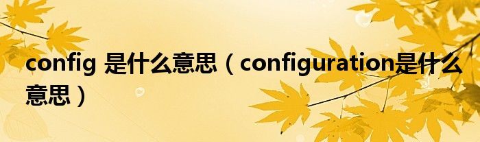 config 是什么意思（configuration是什么意思）