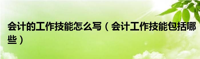 会计的工作技能怎么写（会计工作技能包括哪些）