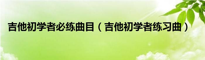 吉他初学者必练曲目（吉他初学者练习曲）