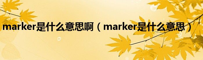 marker是什么意思啊（marker是什么意思）