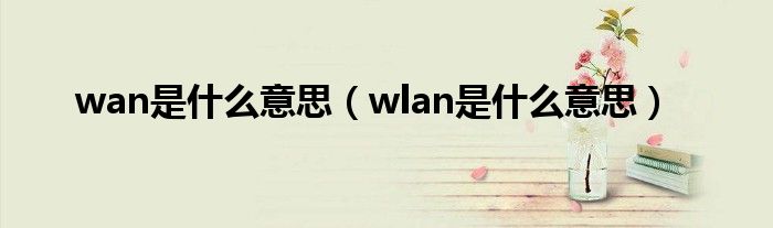 wan是什么意思（wlan是什么意思）