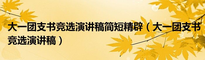 大一团支书竞选演讲稿简短精辟（大一团支书竞选演讲稿）