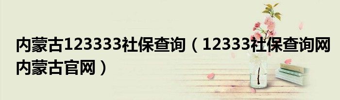 内蒙古123333社保查询（12333社保查询网内蒙古官网）