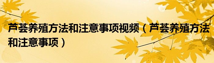 芦荟养殖方法和注意事项视频（芦荟养殖方法和注意事项）