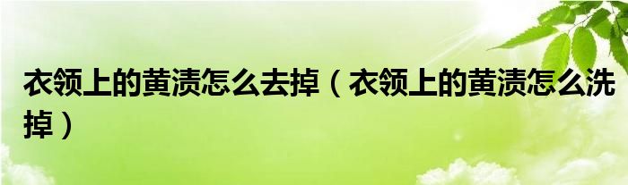 衣领上的黄渍怎么去掉（衣领上的黄渍怎么洗掉）