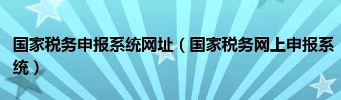 国家税务申报系统网址（国家税务网上申报系统）