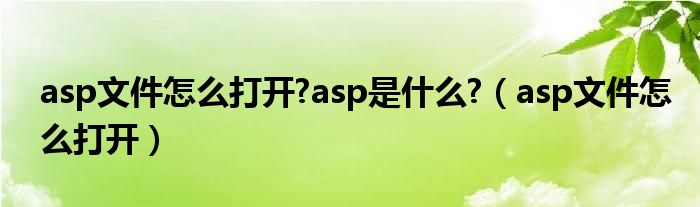 asp文件怎么打开?asp是什么?（asp文件怎么打开）