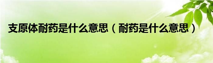 支原体耐药是什么意思（耐药是什么意思）