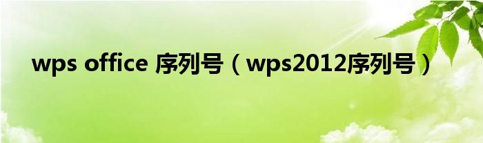 wps office 序列号（wps2012序列号）