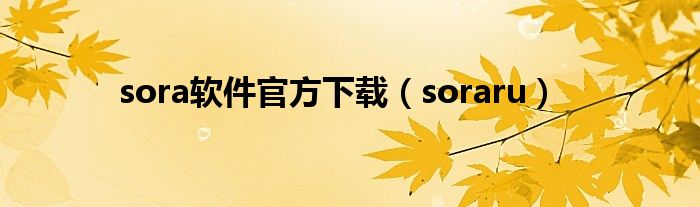 sora软件官方下载（soraru）