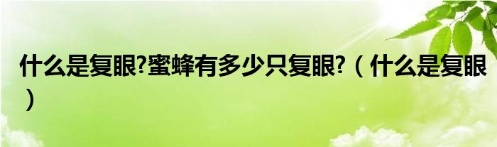 什么是复眼?蜜蜂有多少只复眼?（什么是复眼）