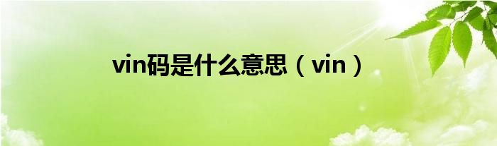 vin码是什么意思（vin）