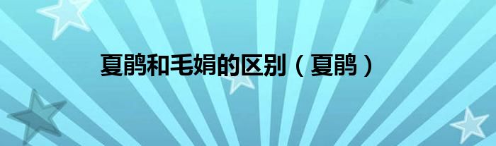 夏鹃和毛娟的区别（夏鹃）