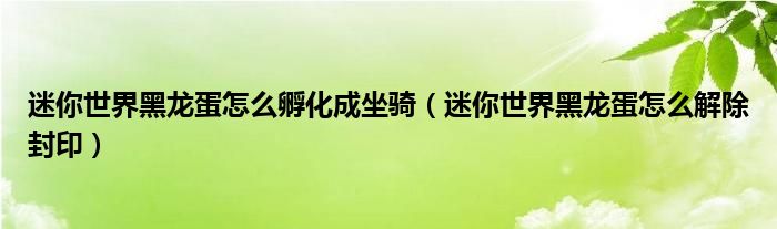 迷你世界黑龙蛋怎么孵化成坐骑（迷你世界黑龙蛋怎么解除封印）