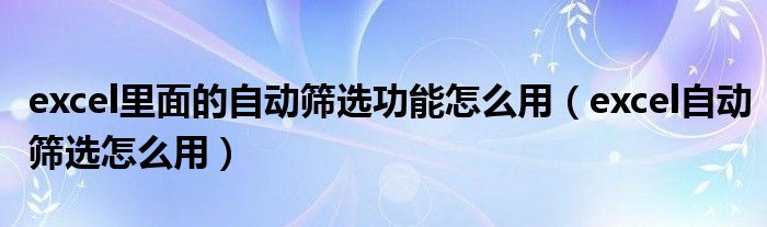 excel里面的自动筛选功能怎么用（excel自动筛选怎么用）