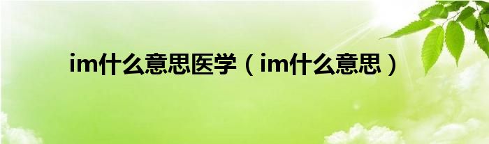 im什么意思医学（im什么意思）