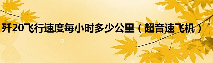 歼20飞行速度每小时多少公里（超音速飞机）