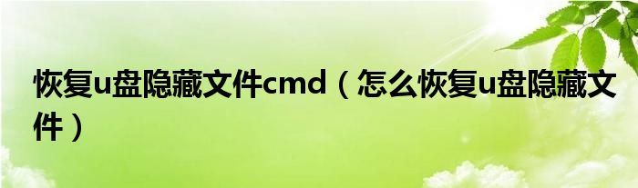 恢复u盘隐藏文件cmd（怎么恢复u盘隐藏文件）