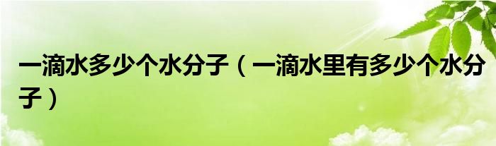 一滴水多少个水分子（一滴水里有多少个水分子）