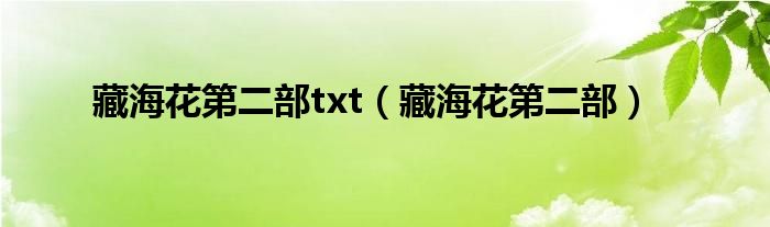 藏海花第二部txt（藏海花第二部）