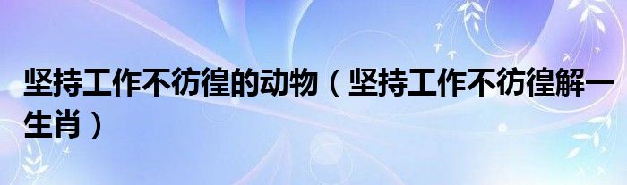 坚持工作不彷徨的动物（坚持工作不彷徨解一生肖）